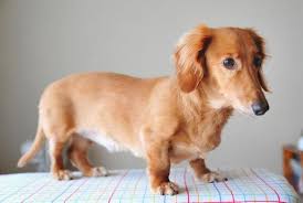 �����Ƒ��Ɍ}����O��